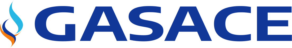 website logo